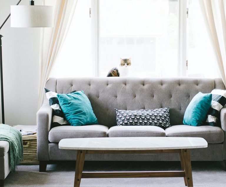 Egestas sed sed risus pretium quam vulputate card img 6@2x