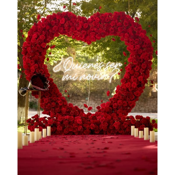 Paquete Corazón - Plata