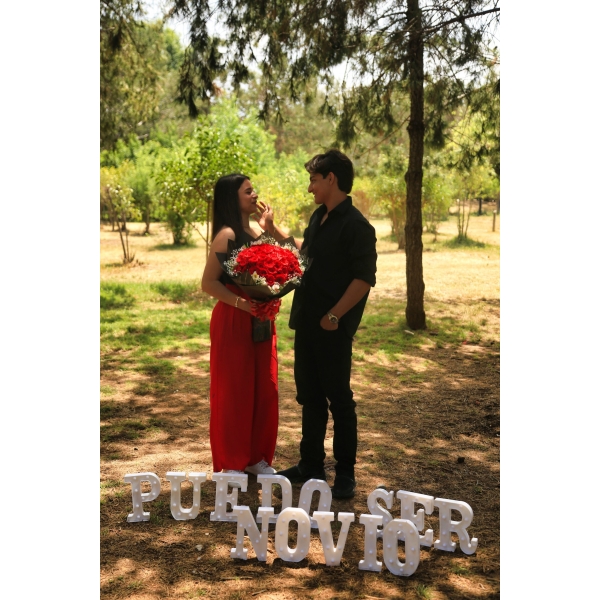 Picnic - Propuesta de Noviazgo